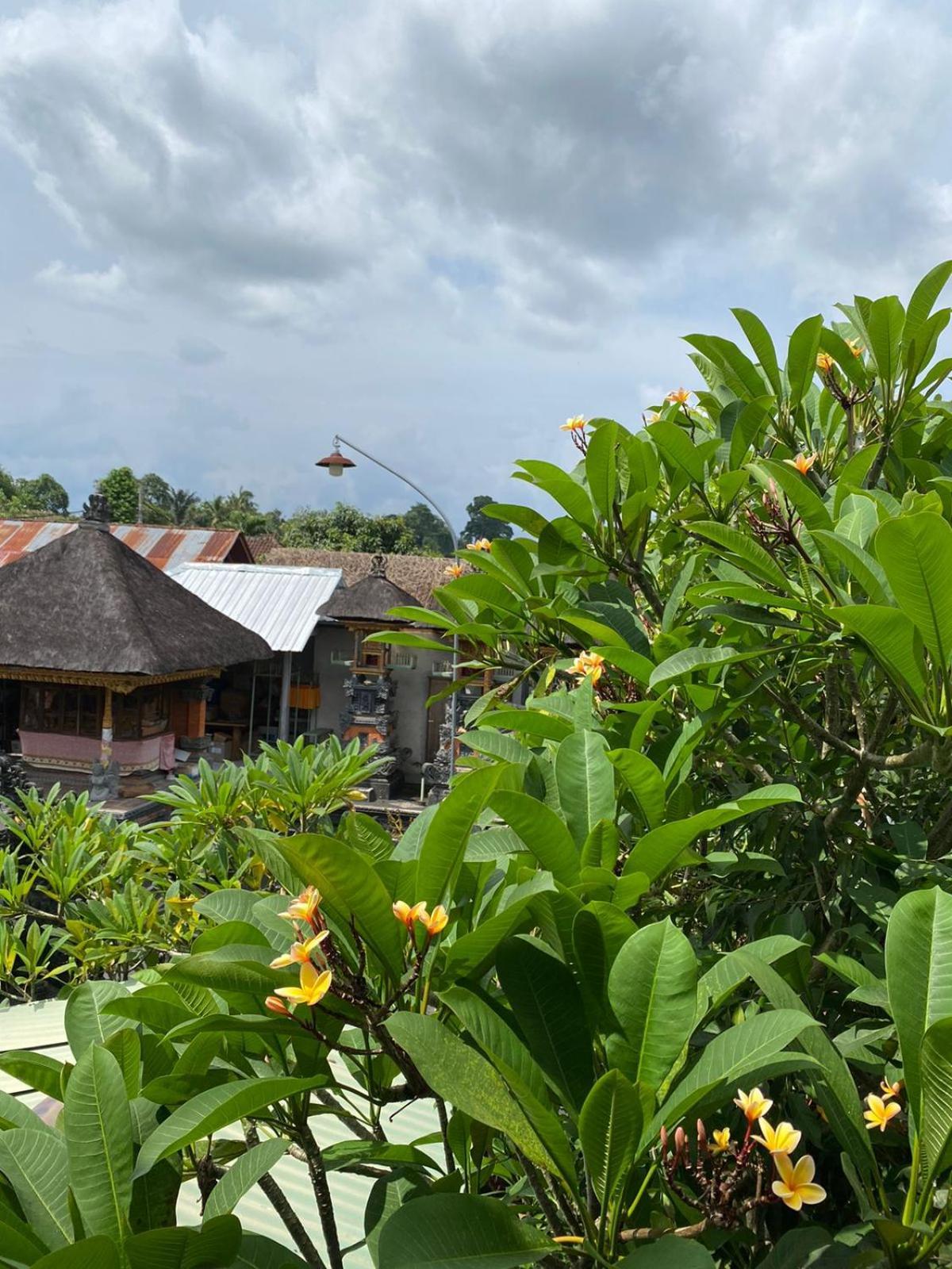 Cuan House Ubud Zewnętrze zdjęcie